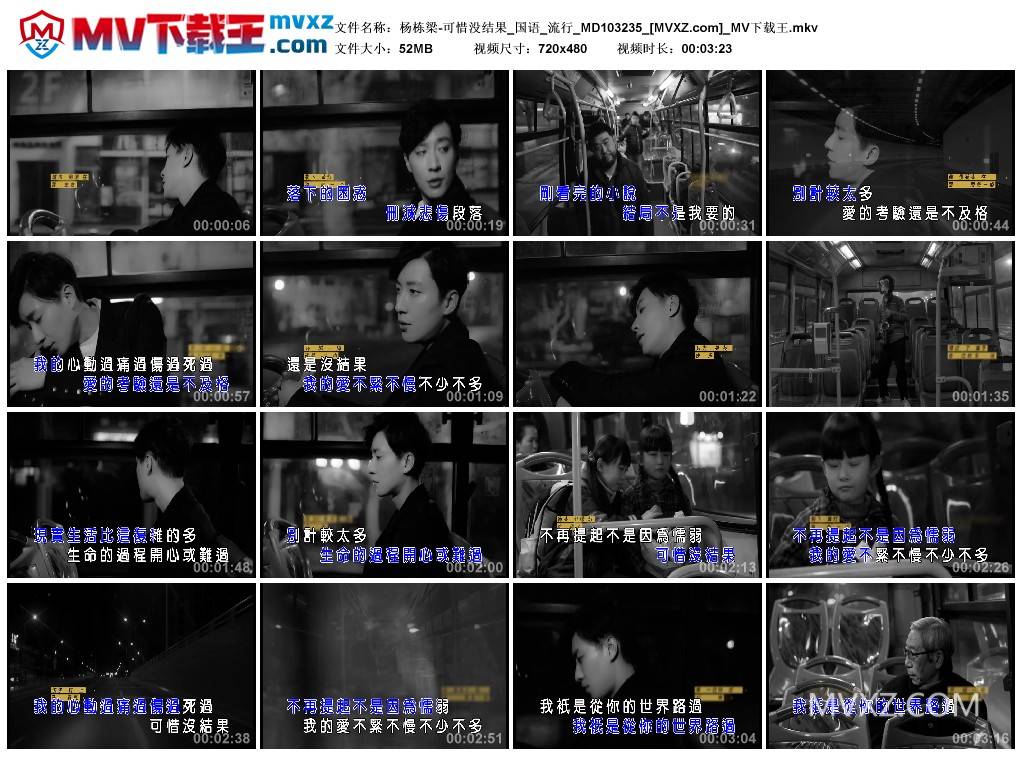 杨栋梁-可惜没结果_国语_流行_MD103235